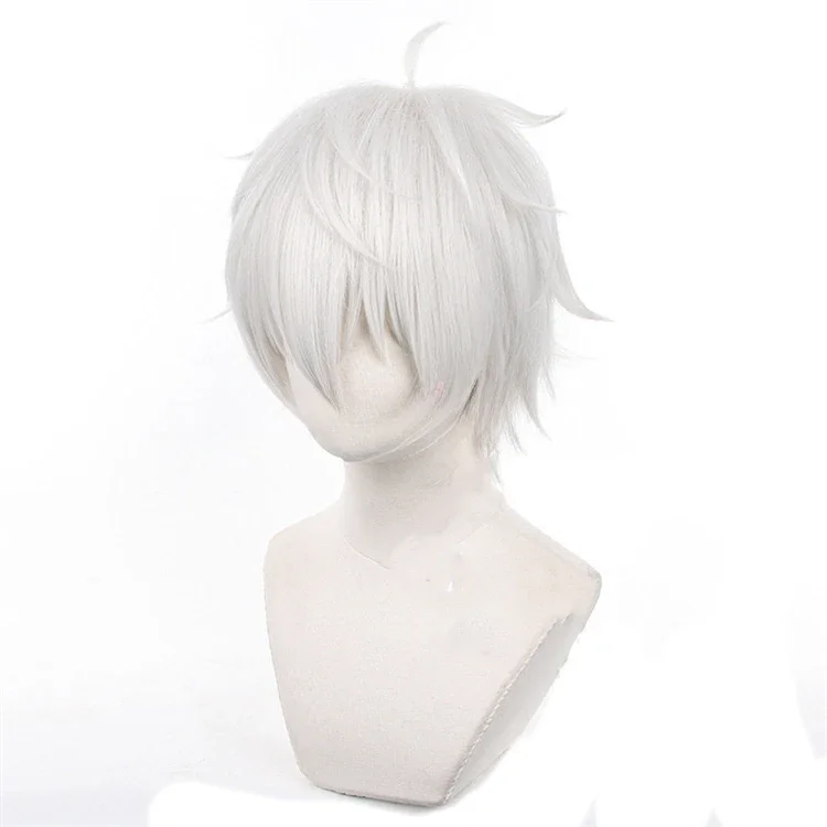 Perruques de Cosplay Anime Sei - Cosplay Anime White Hair avis et prix