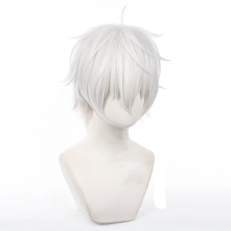 Perruques de Cosplay Anime Sei - Cosplay Anime White Hair avis et prix