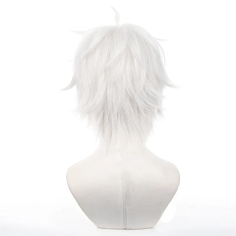 Perruques de Cosplay Anime Sei - Cosplay Anime White Hair avis et prix