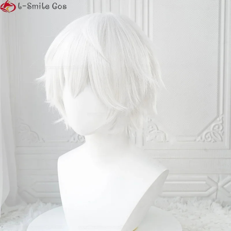 xiaoxiao Anime Killua Zoldyck  - Cosplay Anime White Hair avis et prix